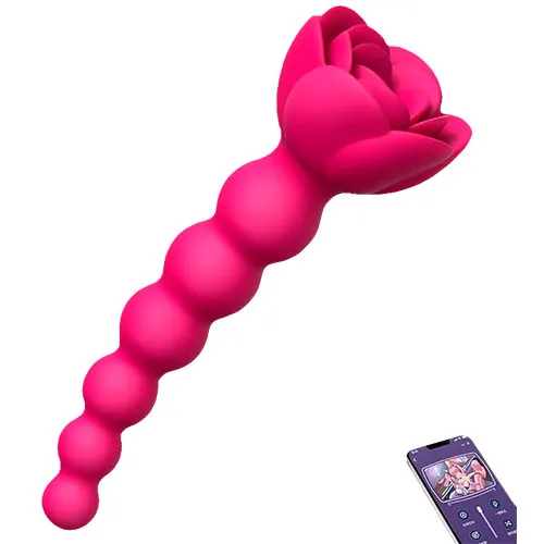 Plug Anal Vibrador Punto P 20cm con App Recargable USB